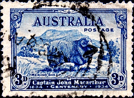 Австралия 1934 год . Овца - меринос (Овис Аммон Овен) . Каталог 6,0 €.  